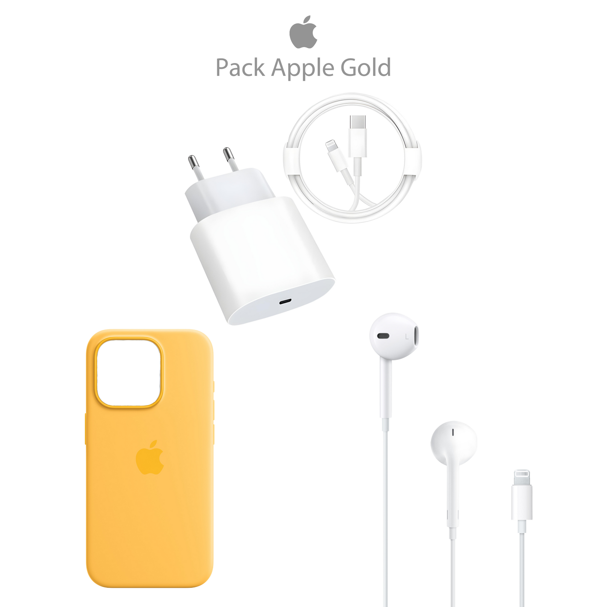 accessoires Apple iPhone adaptateur 20W câble EarPods coque aimantée